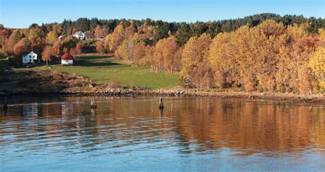 Rural Norwegian Landscape Autumn Stock Image Image Of Hill Exterior