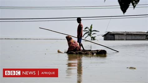 Assam Cinquante Morts Et Deux Millions De Personnes Touchées Par Les