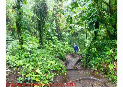 Hiking Rainforest Rica Costa Sound Braveskimom Experience