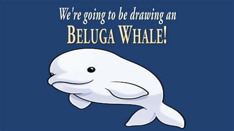 How To Draw A Cute Little Beluga Whale Easy Drawing