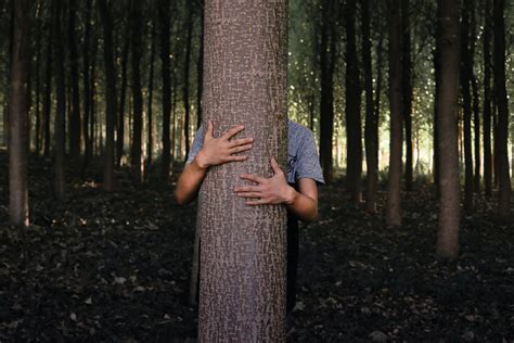 Persona Escondida Detrás De Un Tronco De árbol · Fotos De Stock Gratuitas