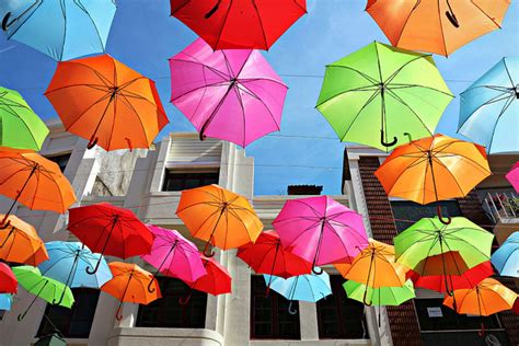 To avoid this, you're going to. A Canopy of Colorful Umbrellas Spotted in Portugal | Colossal