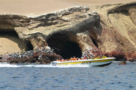 Paracas And Ballestas Islands Paracas National Reserve Best Tours