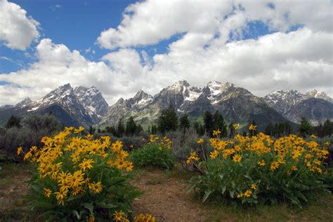 We did not find results for: Grand Teton Lodge Company and Headwaters Lodge/Cabins at ...