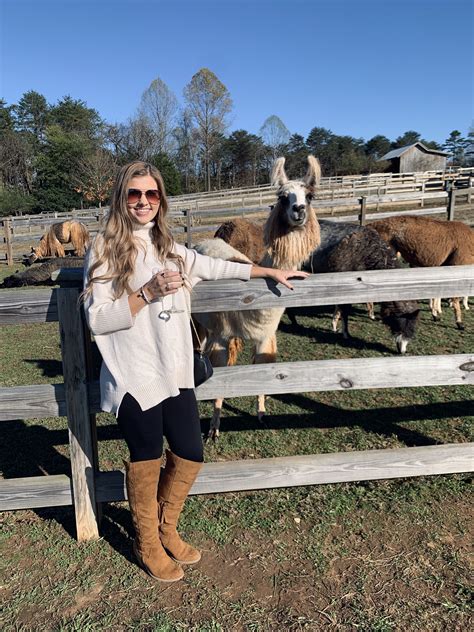 Craigslist Pets Nc Winston Salem