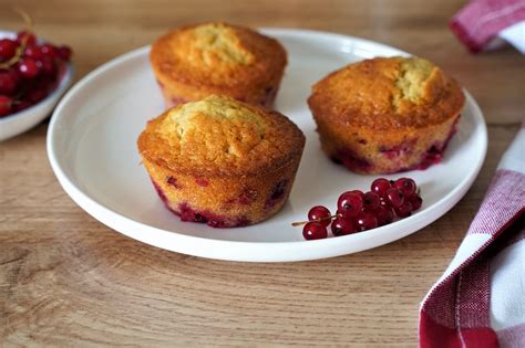 Des groseilles jen fais quoi idées de recettes