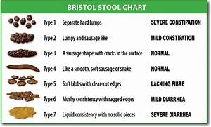 Bristol Stool Scale Facts For Kids