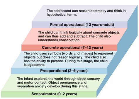 Piagets Stages Of Cognitive Development Piagets Theory Of Cognitive