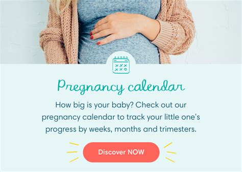 Months Pregnant Symptoms And Fetal Development Pampers 55 Off