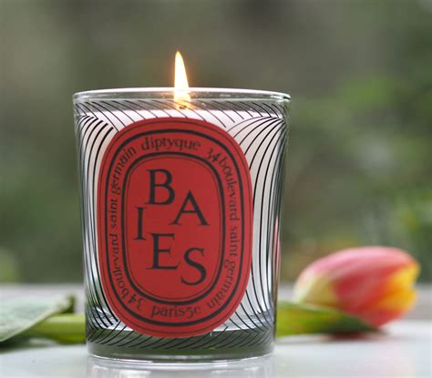 Baies Candle Rose Candle Candle Jars Best Smelling Candles
