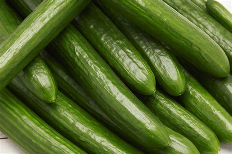 35 Best Cucumber Varieties You Can Grow At Home Gardenoid