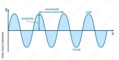 Label The Parts Of A Transverse Wave Crest Trough Wavelength And