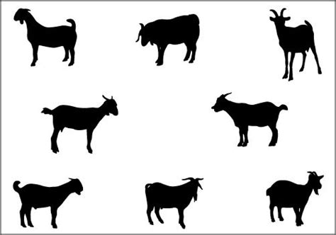 Clipart Baby Goat Silhouette 920 X 686 Png 27 кб Rewel Png