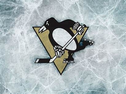 Penguins Pittsburgh Wallpapers Backgrounds Penguin Background Phone