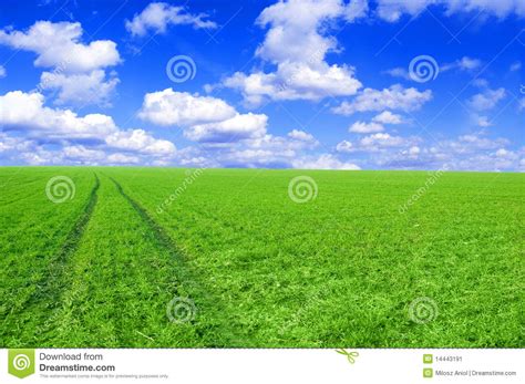 Green Field And Blue Sky Conceptual Image Stock Image