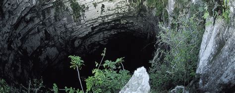 El Sótano De Las Golondrinas Un Abismo Sin Fin En San