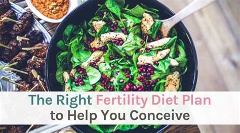 Creating A Fertility Diet Plan To Help You Conceive