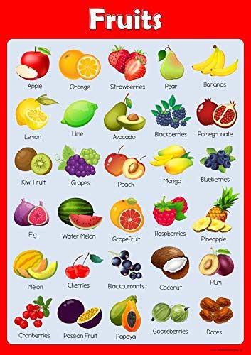 Buy Wisdom Learning Learn Fruits Childrens Wall Chart Educational