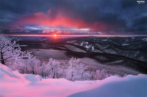 Forest Snowy Clouds Trees Great Sunsets Winter Mountains Viewes