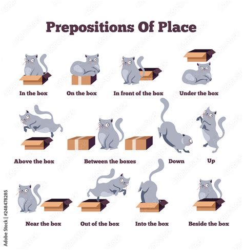 Cute Cat Character In Different Poses With Box Prepositions Of Place