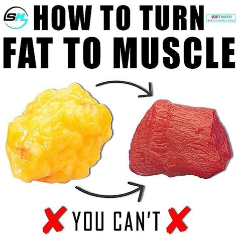 Best Way To Turn Fat Into Muscle Just For Guide
