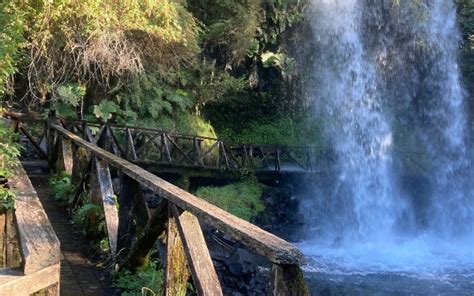 Huilo Huilo MÁgico Los Mejores Tours Y Experiencias En Chile