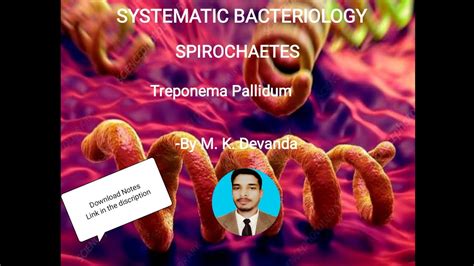 Treponema Pallidum Systemic Bacteriology Microbiology Youtube