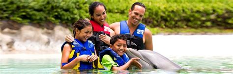Ultimate Guide For Visiting Sea Life Park In Hawaii 2023
