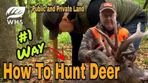 1 Way To Hunt Deer Youtube