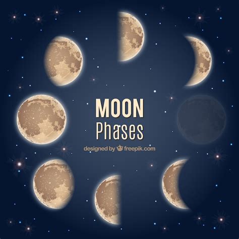 Free Vector Moon Phases