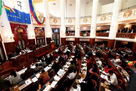 Cámara De Diputados De Bolivia Aprueba La Ley Para Nueva Elección Infogate