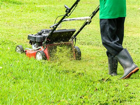 Leaving Grass Clippings On Your Lawn Myhometurf