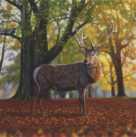 Autumn Stag Emma Colbert Artist And Illustrator From Northern Ireland