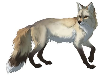 Fox Wolf Hybrid Anime