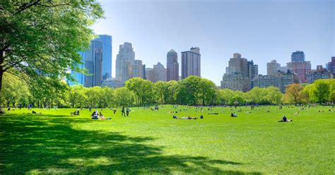 How urban parks promote public health