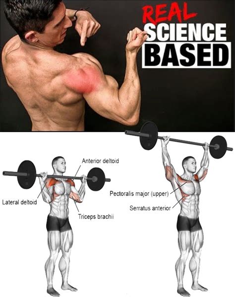 Overhead Shoulder Press Pic And Guide