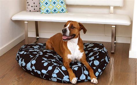 For the consumer and the enormous dog in question, you can both be happy with an informed purchase of a large breed dog bed. Kirkland Dog Bed Replacement Cover, 42 inch Round Beds ...