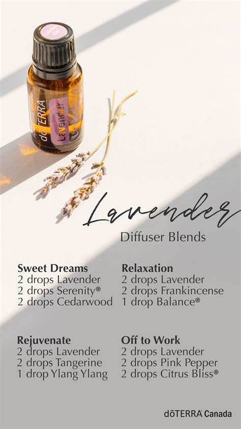 Lavender Diffuser Blends In 2023 Essential Oils Essential Oils