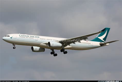 Airbus A330 300 Cathay Pacific New Livery Real Airlines And Fleets
