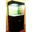HY800B Curved Glass Aquarium – BudgetAquariums