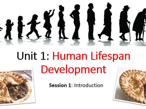 Full Unit Btec L3 Health And Social Care Unit 1 Human Lifespan