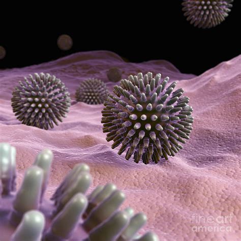 Swine Influenza Virus H1n1 Photograph By Science Picture Co