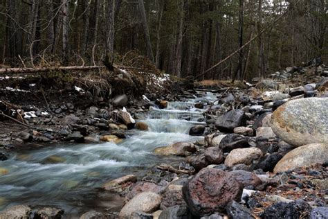 Mountain River Flows Through The Forest Among The Stones Stock Photo