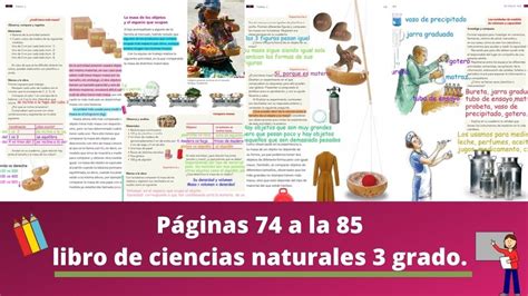Check spelling or type a new query. Paco El Chato Respuestas Primaria Tercer Grado Ciencias ...