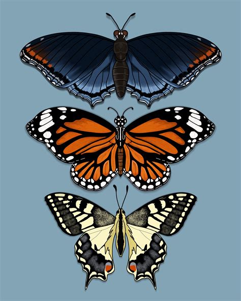 Three Butterflies PHYSICAL Art Print Butterfly Art Print Etsy