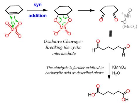 Oxidative Cleavage Of Alkenes With KMno4 And O3 Chemistry Steps