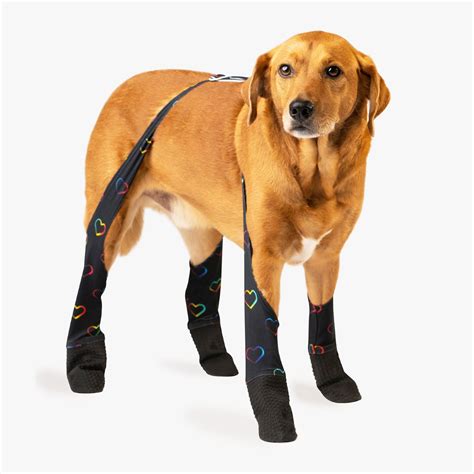 Walkee Paws Waterproof Dog Leggings Walkee Paws Leggings Review