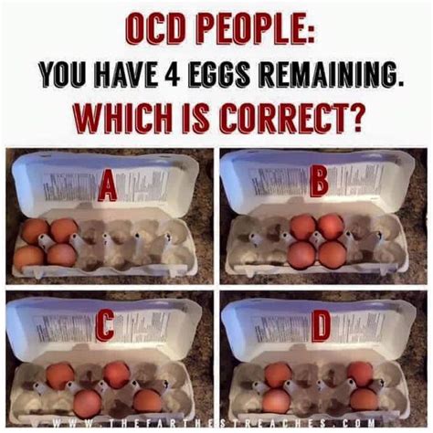 You Have 4 Eggs Remaining Ocd People Egg Carton Test Know Your Meme