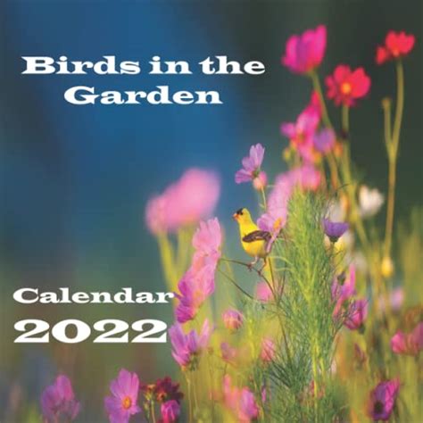Birds In The Garden 2022 Calendar Monthly Planner Bird Theme Cute And