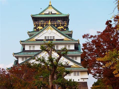 Telah memahami konsep dari klausa relatif dan penggunaannya untuk membuat suatu kalimat bahasa jepang, sekarang kita bisa mulai belajar tentang urutan susunan kata dalam kalimat bahasa jepang. Angka Dalam Bahasa Jepang | Jepang.org